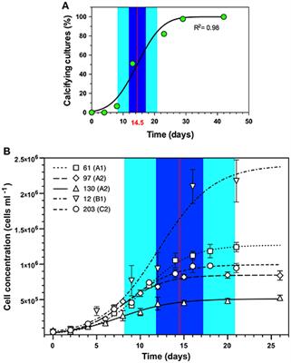 Symbiodinium-Induced Formation of Microbialites: Mechanistic Insights From in Vitro Experiments and the Prospect of Its Occurrence in Nature